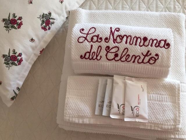 B&B La Nonnina Del Cilento カザール・ヴェリーノ エクステリア 写真