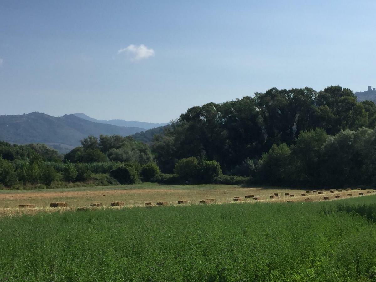 B&B La Nonnina Del Cilento カザール・ヴェリーノ エクステリア 写真