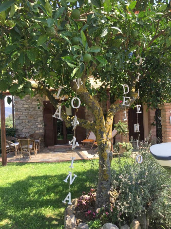 B&B La Nonnina Del Cilento カザール・ヴェリーノ エクステリア 写真