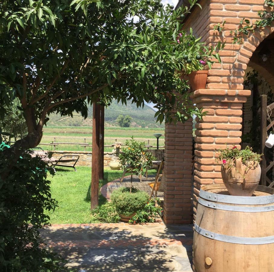 B&B La Nonnina Del Cilento カザール・ヴェリーノ エクステリア 写真